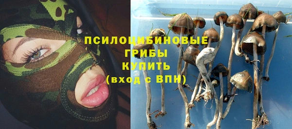 не бодяженный Абаза