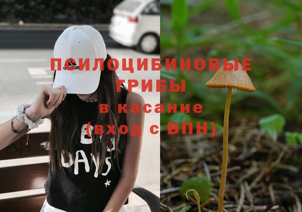 круглые Алексеевка