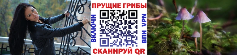 Псилоцибиновые грибы мицелий  где купить наркотик  нарко площадка Telegram  Балахна 