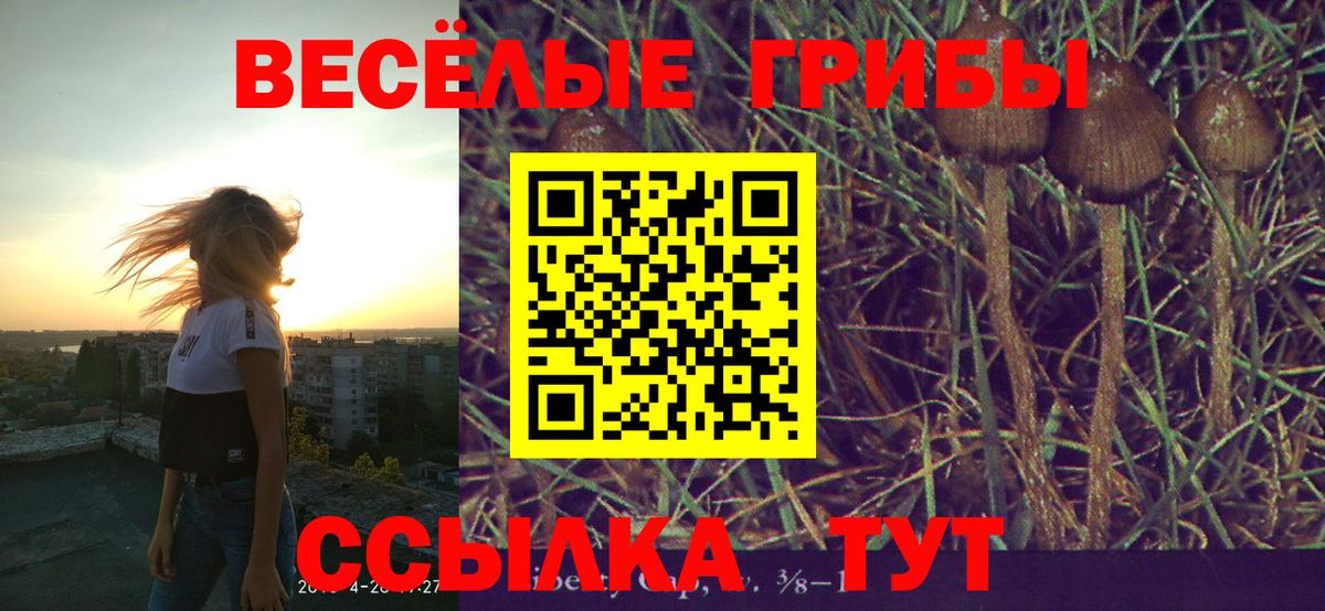 Галлюциногенные грибы GOLDEN TEACHER Балахна