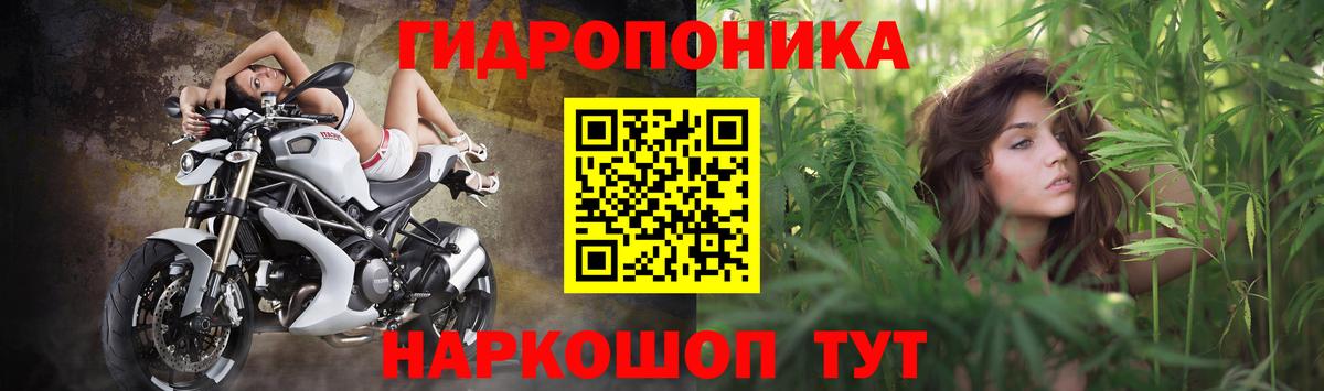 Бошки марихуана THC 21%  Шишки марихуана Amnesia  Вход с VPN  Балахна  Каннабис THC 21% 